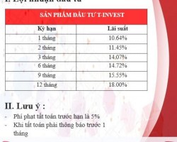 đầu tư