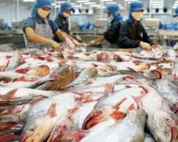 Lạm phát tại Mỹ phía bên kia bán cầu tác động ra sao tới số liệu tài chính của "Vua cá tra" Vĩnh Hoàn?